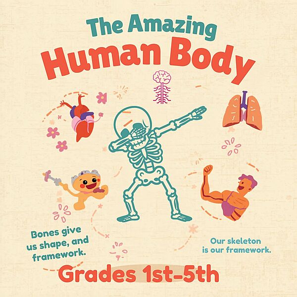 The Amazing Human Body