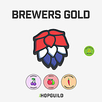 Brewers Gold