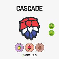 Cascade Cascade