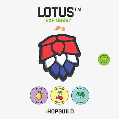 Lotus™-2024-11 lb bag