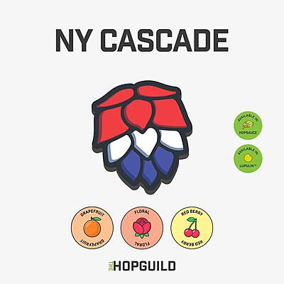 NY Cascade NY Cascade