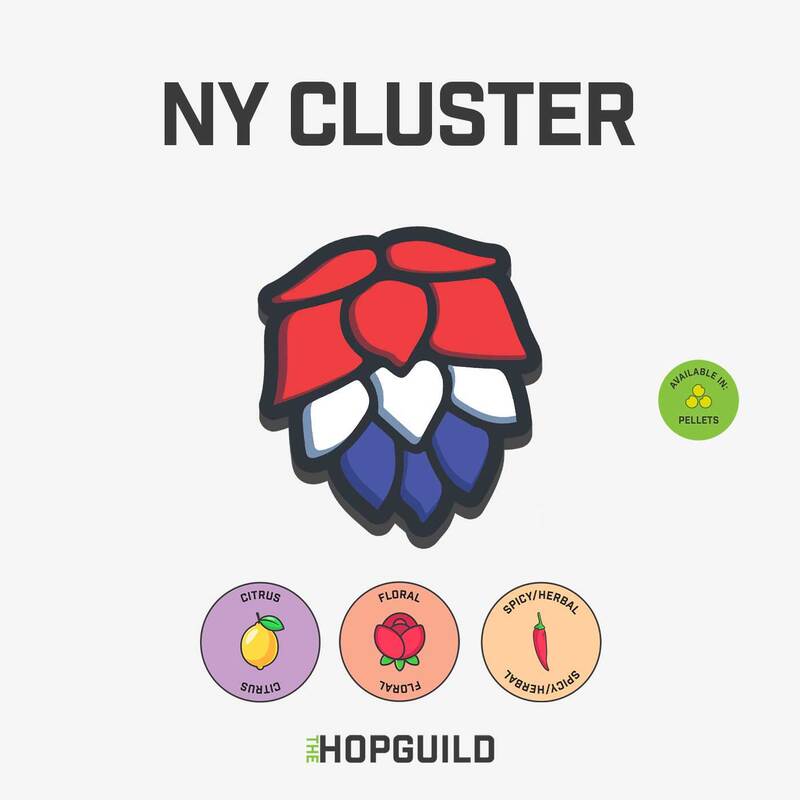 NY Cluster NY Cluster