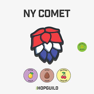 NY Comet