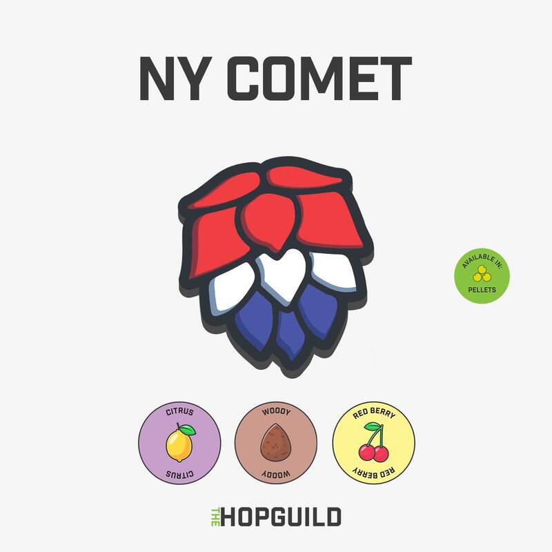 NY Comet