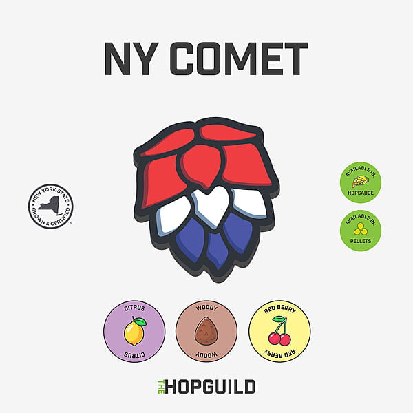 NY Comet