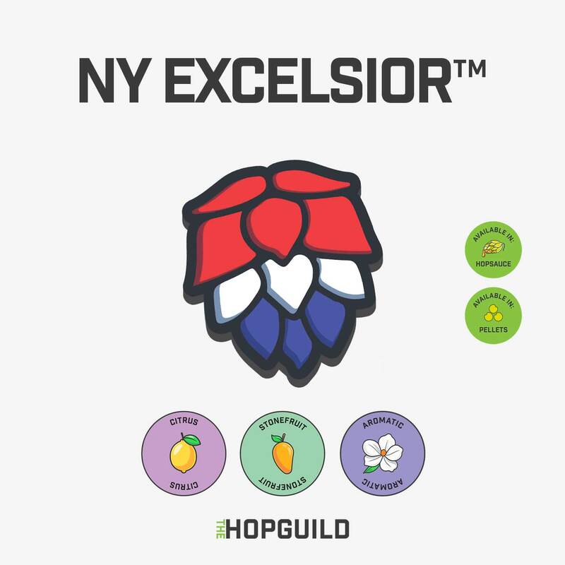 NY Excelsior NY Excelsior