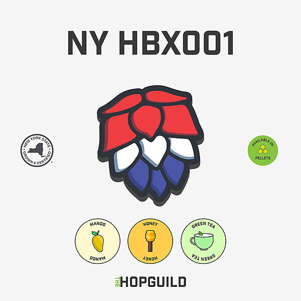 NY HBX001