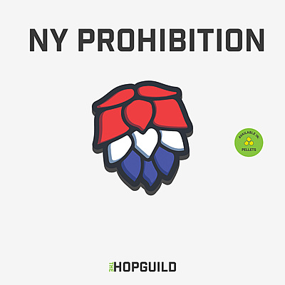 NY Prohibition