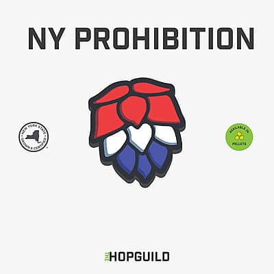 NY Prohibition
