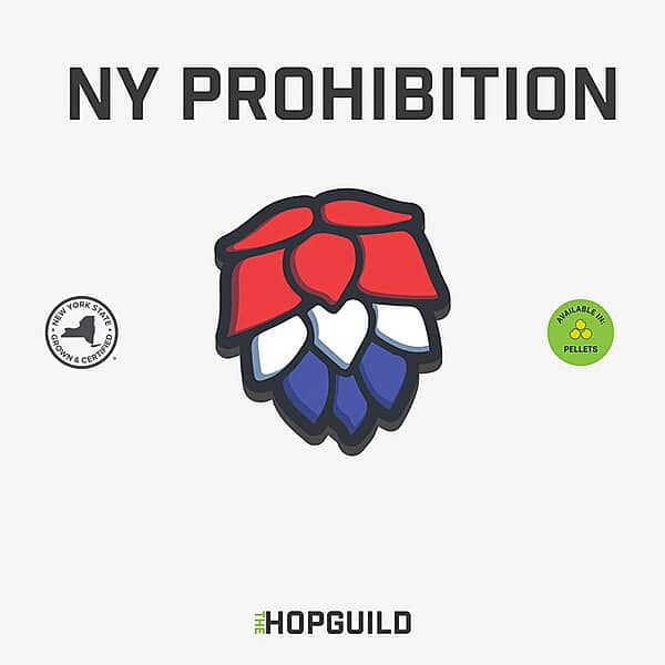 NY Prohibition