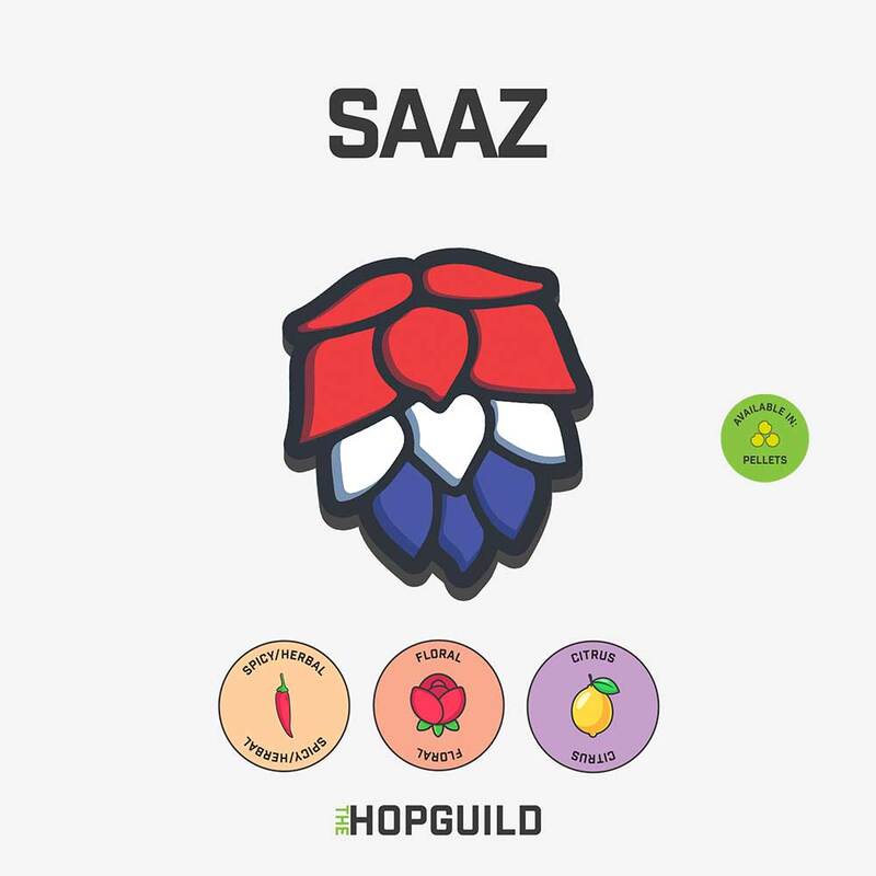 Saaz