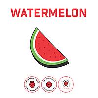 Watermelon Puree Watermelon Puree