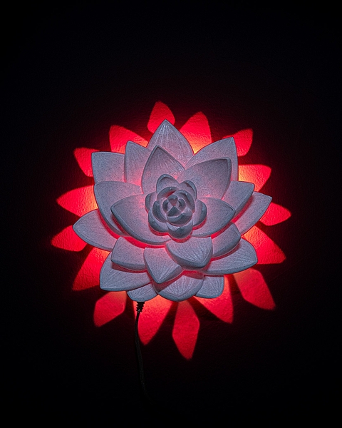 The Lotus Wall Light