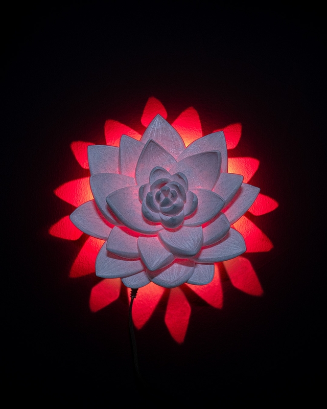 The Lotus Wall Light