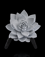 The Lotus Wall Light