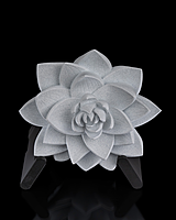 The Lotus Wall Light