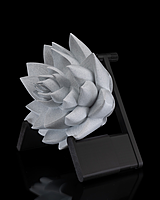 The Lotus Wall Light