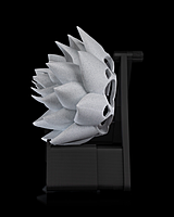 The Lotus Wall Light