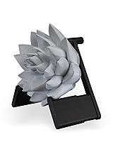 The Lotus Wall Light