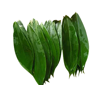 Thebu Tender Leaves (200gm)