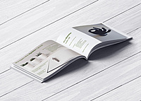 HC Thrive Collective