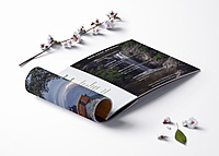 HC Thrive Collective