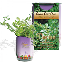 Thyme Herb Growing Kit
