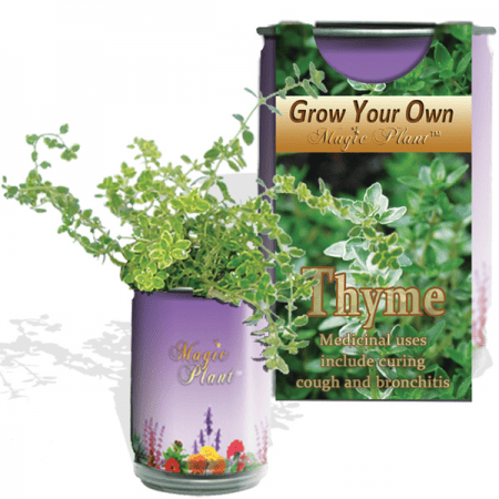 Thyme Herb Growing Kit