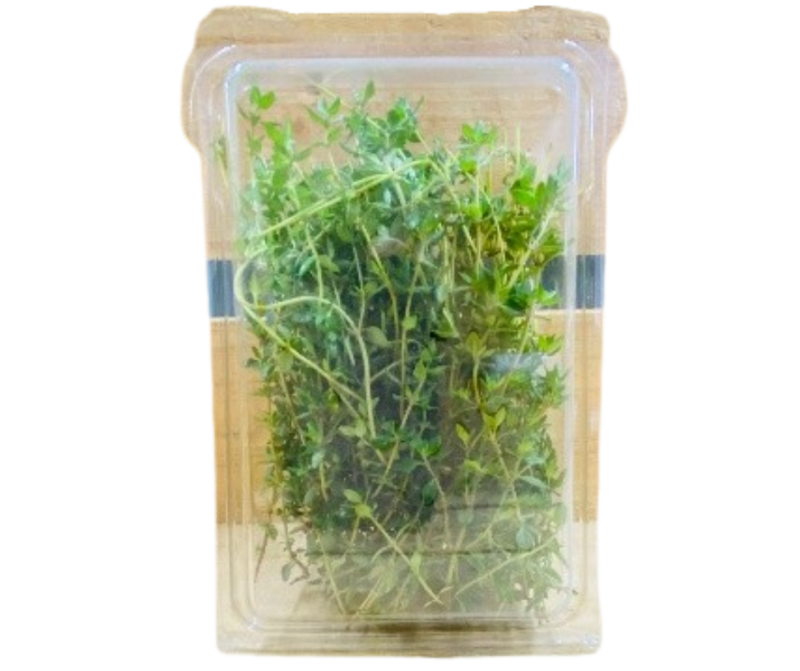 Thyme 30grams