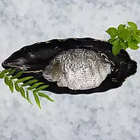 Tilapia/ತಿಲಾಪಿಯಾ