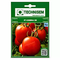 TOMATO COBRA 26 F1
