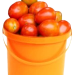 Tomatoes=PRICE OPTIONS