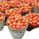 Tomatoes=PRICE OPTIONS