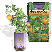 Tomato Vegetables Growing Kit