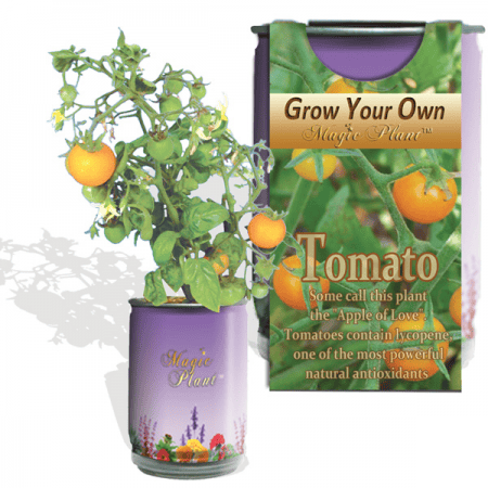 Tomato Vegetables Growing Kit