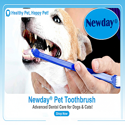 Tooth Brush