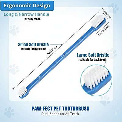 Tooth Brush
