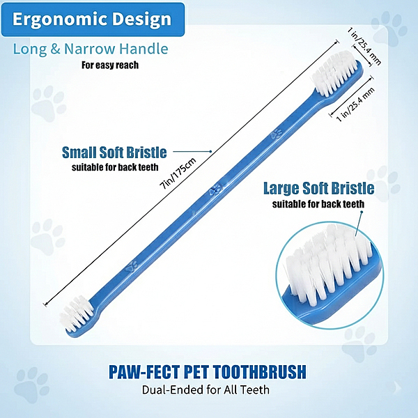 Tooth Brush