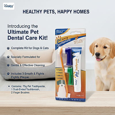 Toothpaste and Teethbrush Pack Yingte