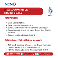 Travel Companion (Hourly / Daily) Service