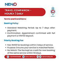 Travel Companion (Hourly / Daily) Service