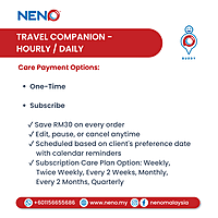 Travel Companion (Hourly / Daily) Service
