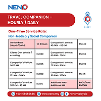 Travel Companion (Hourly / Daily) Service