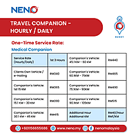 Travel Companion (Hourly / Daily) Service