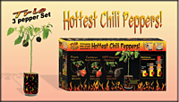 Trio Box Peppers Growing Kit