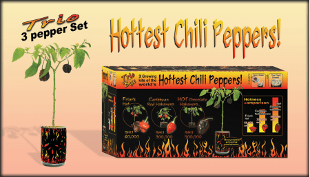 Trio Box Peppers Growing Kit