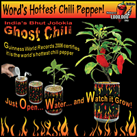 Set of 3 (Ghost chili ,Chocolate Habanero, Cherry Pepper)