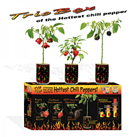 Trio Box Peppers Growing Kit
