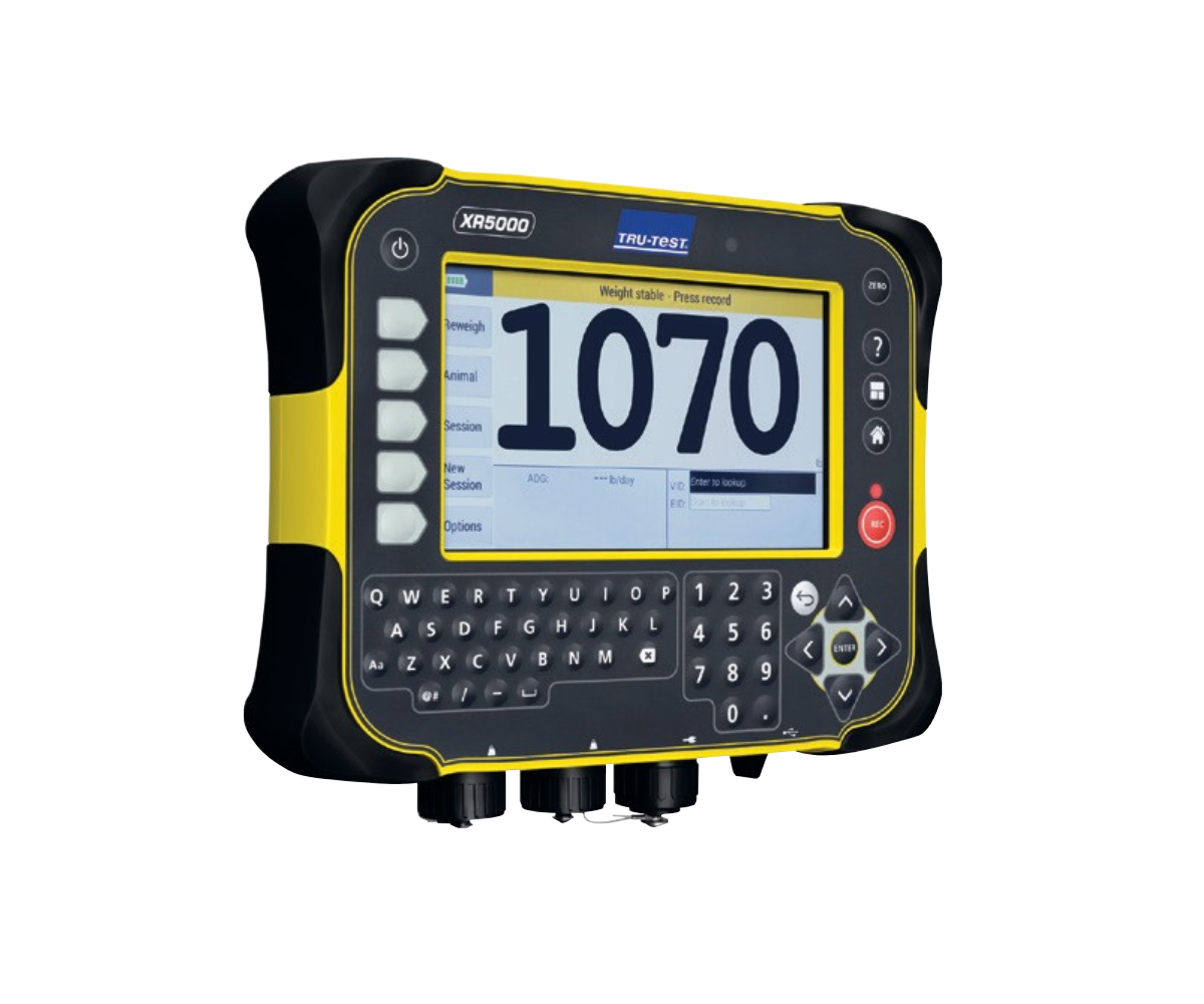 TruTest XR5000 Indicator