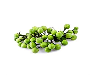Turkey Berry (250gm)